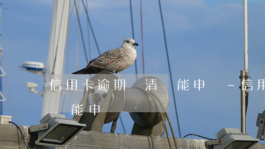 信用卡逾期還清還能申請-信用卡逾期還清還能申請