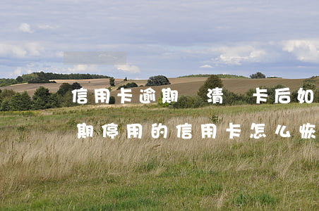 信用卡逾期還清銷卡后如何補(bǔ)救(逾期停用的信用卡怎么恢復(fù))