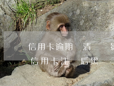 信用卡逾期還清銷戶影響信貸嗎(以前逾期的信用卡注銷后黑戶了還能申請嗎)