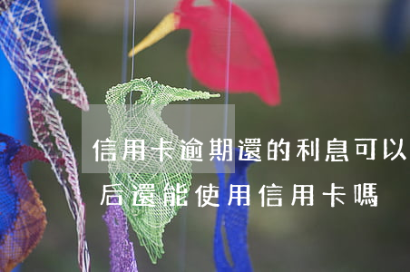 信用卡逾期還的利息可以追回來嗎(逾期還清后還能使用信用卡嗎)