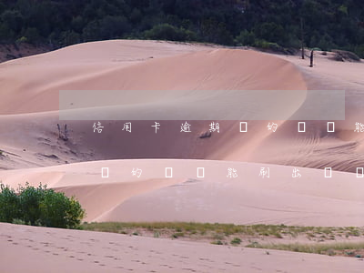 信用卡逾期還的錢還能刷出來嗎(信用卡逾期還的錢還能刷出來嗎)