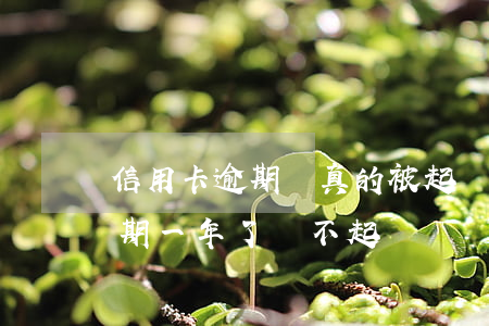 信用卡逾期還真的被起訴嘛(為什么信用卡逾期一年了,還不起訴)