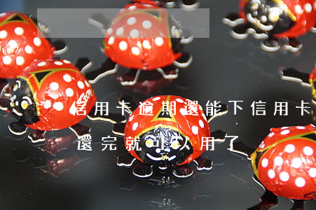 信用卡逾期還能下信用卡(信用卡逾期是不是還完就可以用了?)