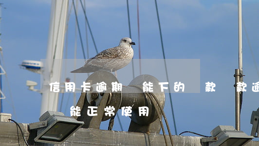 信用卡逾期還能下的貸款(貸款逾期了信用卡還能正常使用嗎)