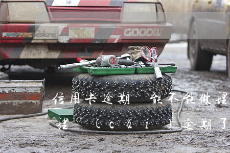 信用卡逾期還能不能做理財(cái)(銀行理財(cái)逾期了還有沒有希望拿到)
