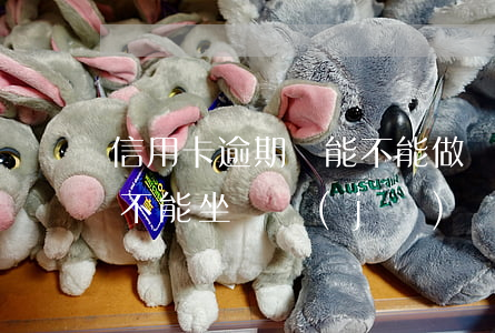 信用卡逾期還能不能做飛機(jī)(逾期后不能坐飛機(jī)嗎)