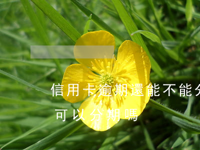 信用卡逾期還能不能分期還款(分期逾過期還可以分期嗎)