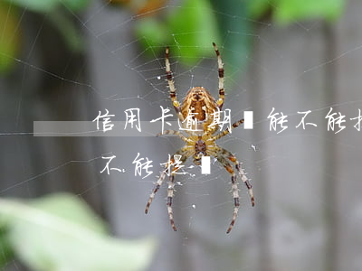 信用卡逾期還能不能提錢-信用卡逾期還能不能提錢