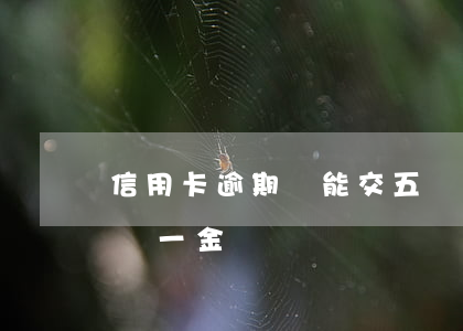 信用卡逾期還能交五險一金嗎(逾期可以交五險一金嗎)