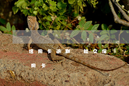 信用卡逾期還能交保險嗎(逾期過后還能辦信用卡)