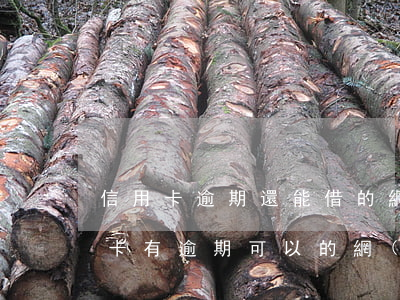 信用卡逾期還能借的網(wǎng)貸(信用卡有逾期可以的網(wǎng)貸)