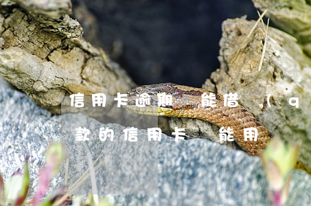 信用卡逾期還能借錢(qián)么(逾期還款的信用卡還能用嗎)