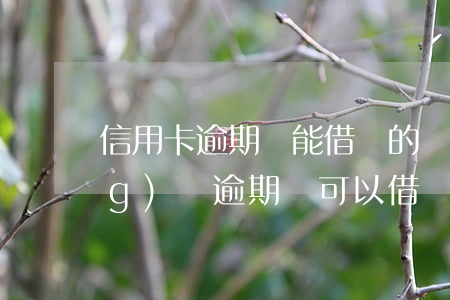 信用卡逾期還能借錢的貸款口子(網(wǎng)貸逾期還可以借錢的口子)
