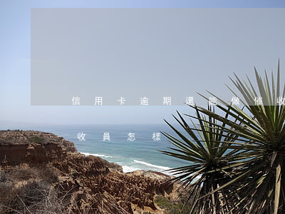 信用卡逾期還能做催收員嗎(做銀行信用卡催收員怎樣?)