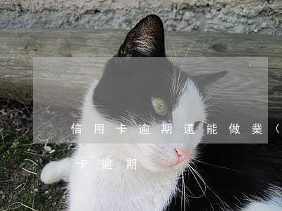信用卡逾期還能做業(yè)委會嗎(辦信用卡逾期)