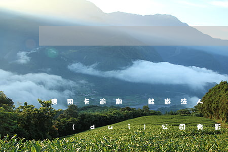 信用卡逾期還能做法人嗎(法人辦信用卡逾期對(duì)公司有影響嗎)