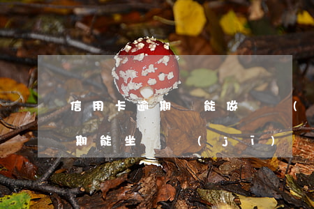 信用卡逾期還能做飛機(jī)嗎(信用卡逾期能坐飛機(jī)嗎?)