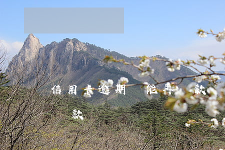 信用卡逾期還能再貸款嗎（信用卡逾期還能再貸款嗎）