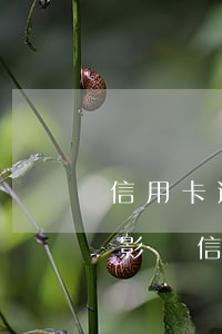 信用卡逾期還能分期 來分期一直逾期會不會影響信用卡
