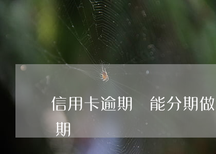 信用卡逾期還能分期做鼻子嗎 做鼻子可以分期嗎