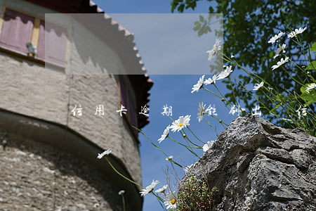 信用卡逾期還能刷出來(信用卡逾期還能刷出來錢嗎)