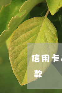 信用卡逾期還能卡卡貸嘛(信用卡逾期可以貸款嗎?)