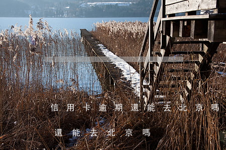 信用卡逾期還能去北京嗎怎么還（信用卡逾期還能去北京嗎）