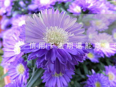 信用卡逾期還能商業(yè)貸款嗎