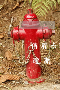 信用卡逾期還能在政府部門上班嗎-信用卡逾期還能在政府部門上班嗎知乎