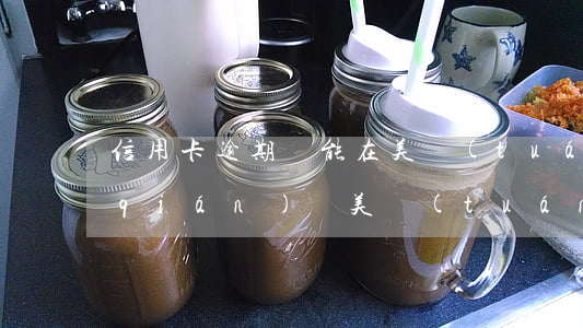信用卡逾期還能在美團(tuán)借錢(qián)嗎(美團(tuán)借錢(qián)逾期一天會(huì)不會(huì)對(duì)征信有影響信用卡使用)