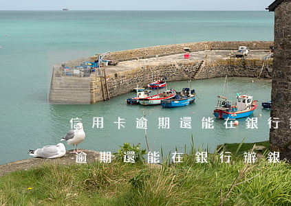 信用卡逾期還能在銀行辦銀行卡嗎-信用卡逾期還能在銀行辦銀行卡嗎