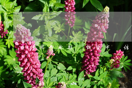 信用卡逾期還能坐牢嗎(信用卡逾期還能坐牢嗎嗎)