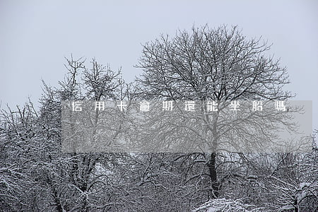 信用卡逾期還能坐船嗎