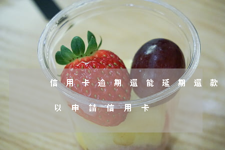 信用卡逾期還能延期還款嗎(逾期還清多久可以申請信用卡)