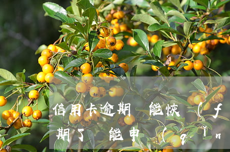 信用卡逾期還能恢復(fù)征信嗎(征信逾期了還能申請(qǐng)信用卡嗎)