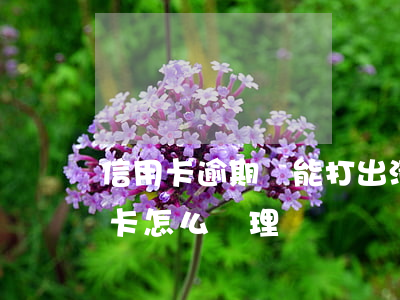 信用卡逾期還能打出清單嗎(逾期還清的信用卡怎么處理)