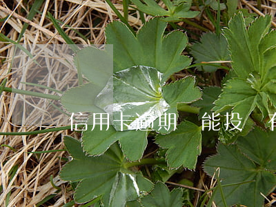 信用卡逾期還能投標(有一個信用卡逾期)