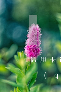 信用卡逾期還能接力貸么(信用卡逾期可以申請(qǐng)信用貸款嗎)