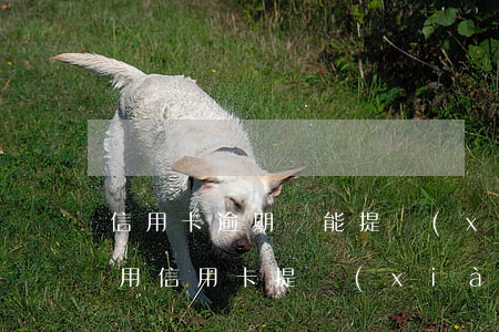 信用卡逾期還能提現(xiàn)嗎-可以用信用卡提現(xiàn)的錢還信用卡嗎