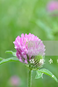 信用卡逾期還能收到轉(zhuǎn)賬嗎(轉(zhuǎn)賬轉(zhuǎn)錯(cuò)到信用卡了還能追回來(lái)嗎)