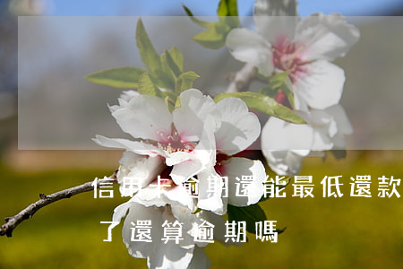 信用卡逾期還能最低還款(信用卡還最低還款了還算逾期嗎)