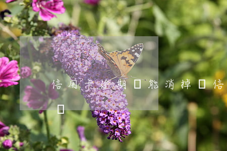 信用卡逾期還能消掉嗎(信用卡逾期還能消掉嗎)