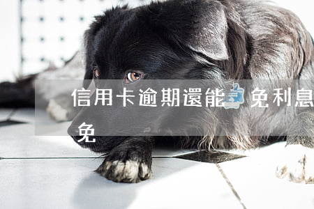 信用卡逾期還能減免利息嗎(逾期利息怎么減免)