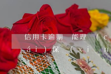 信用卡逾期還能理財(cái)嗎(理財(cái)保險(xiǎn)可以逾期交費(fèi)嗎)