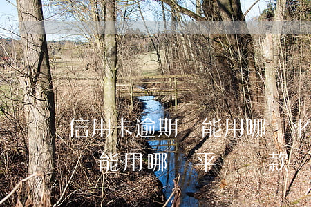 信用卡逾期還能用哪個平臺貸款(信用卡逾期還能用哪個平臺貸款)