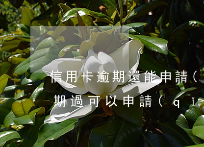 信用卡逾期還能申請(qǐng)別的嗎(逾期過可以申請(qǐng)信用卡嗎)