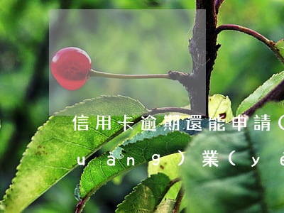 信用卡逾期還能申請(qǐng)創(chuàng)業(yè)補(bǔ)貼嗎(征信有逾期能申請(qǐng)創(chuàng)業(yè)補(bǔ)貼嗎)