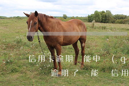信用卡逾期還能申請(qǐng)小貸嗎(小額貸逾期了還能辦信用卡嗎)