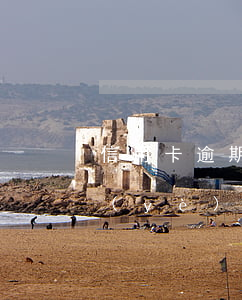 信用卡逾期還能申請創(chuàng)業(yè)貸款嗎(貸款逾期還可以申請信用卡嗎)