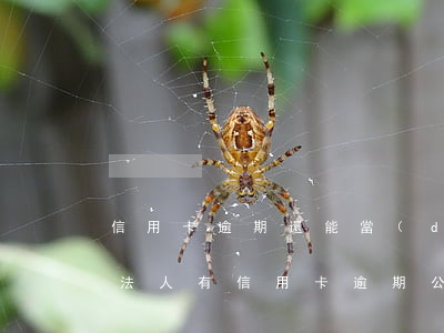 信用卡逾期還能當(dāng)法人代表嗎 法人有信用卡逾期公司貸款影響